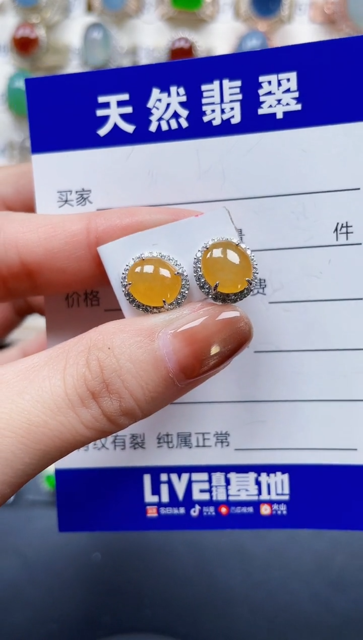 银S925镶嵌翡翠耳饰240