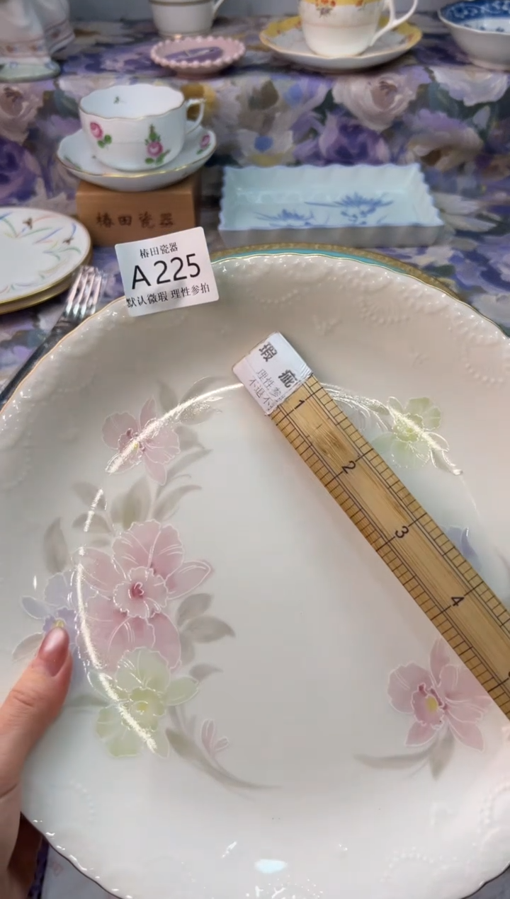 瓷片巧*瓷片瓷片          A 225