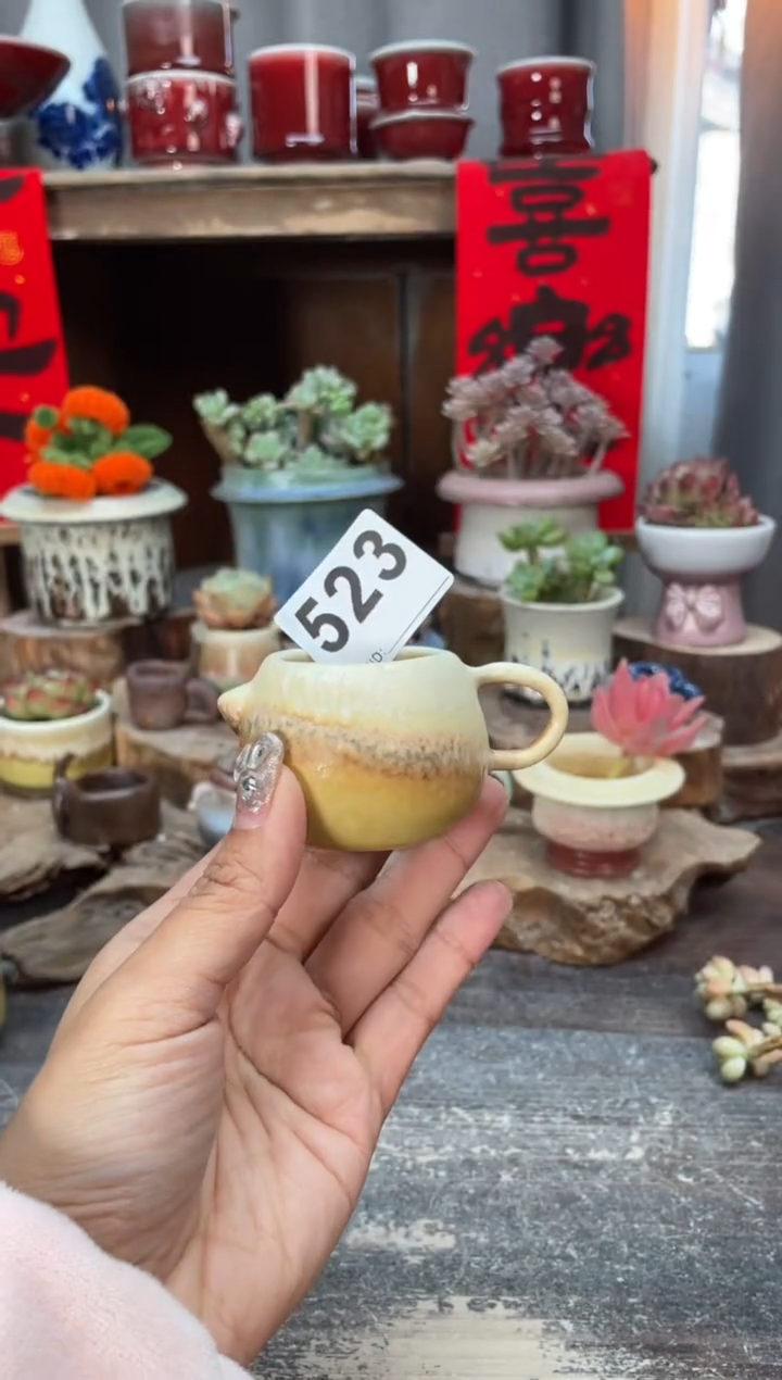 【闪购商品】摆件523知木小芳花盆