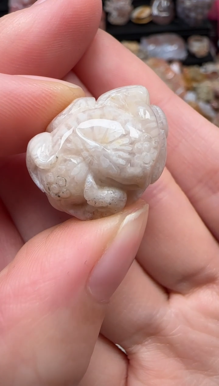 颈饰未镶嵌硅化珊瑚（珊瑚玉）756