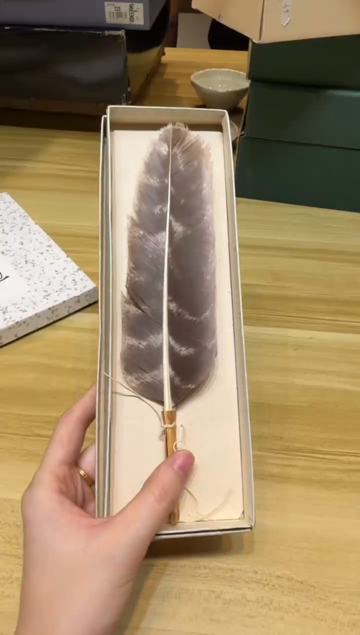 小狐狸严选日瓷器小狐狸精选日瓷器