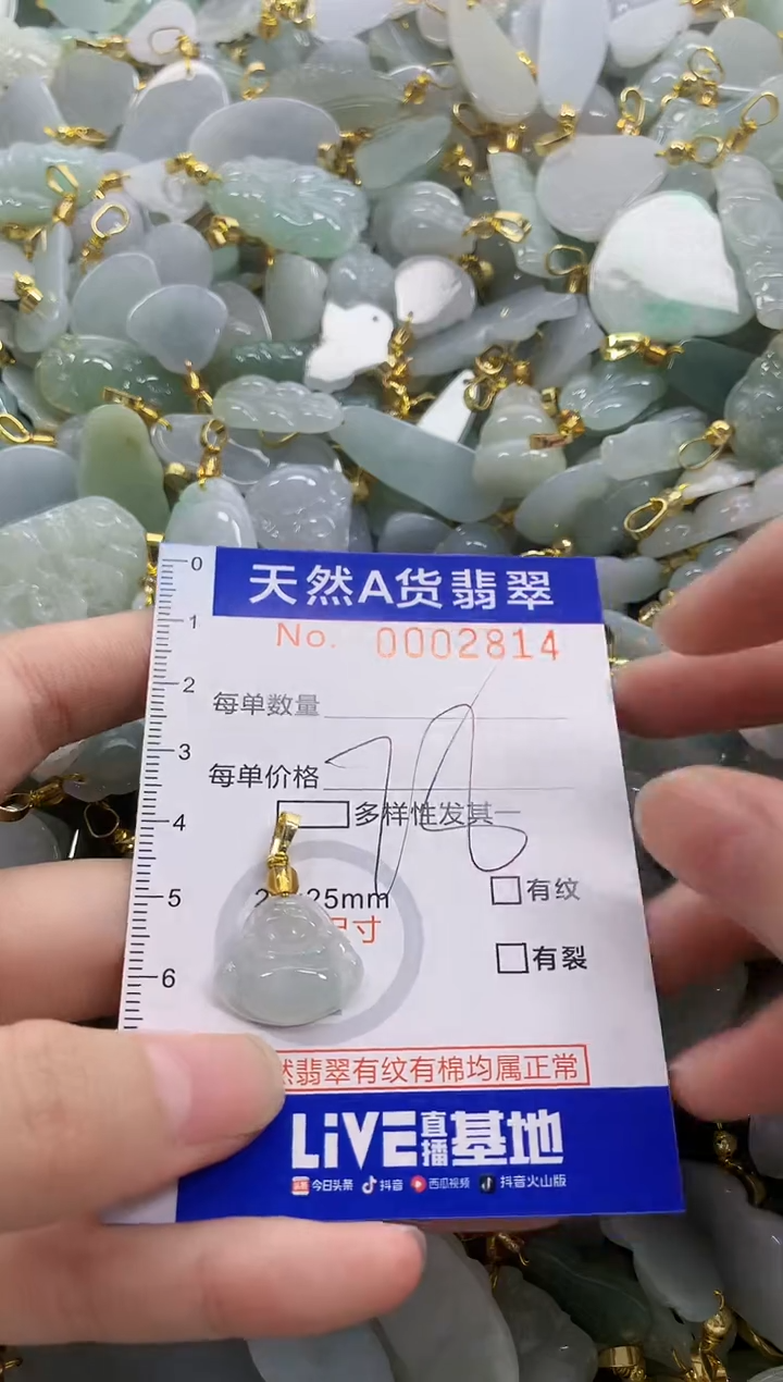 颈饰未镶嵌翡翠天然A货翡翠