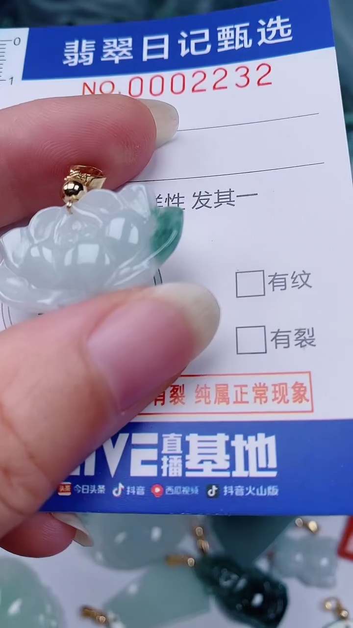 翡翠未镶嵌颈饰00002232