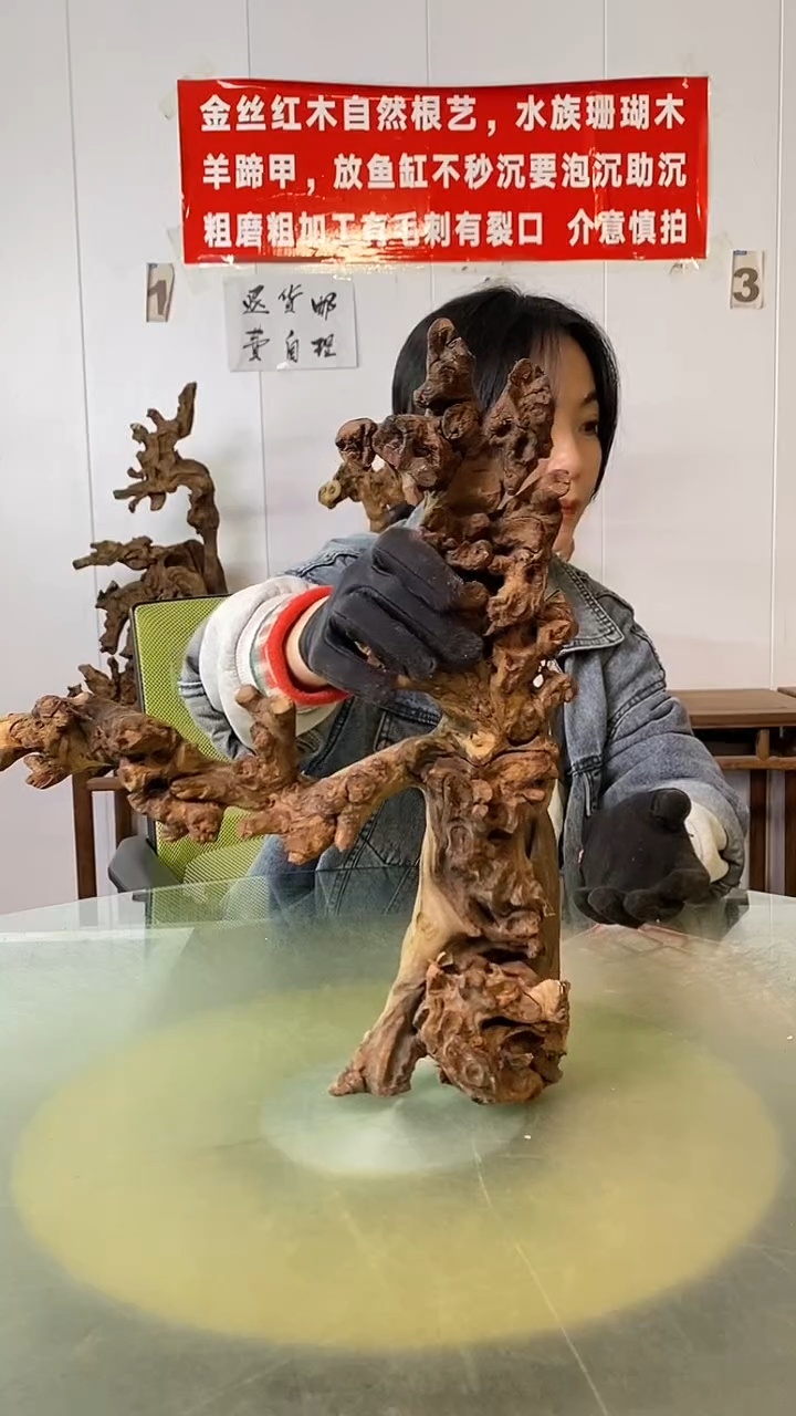 木不**華金丝红木 羊蹄甲