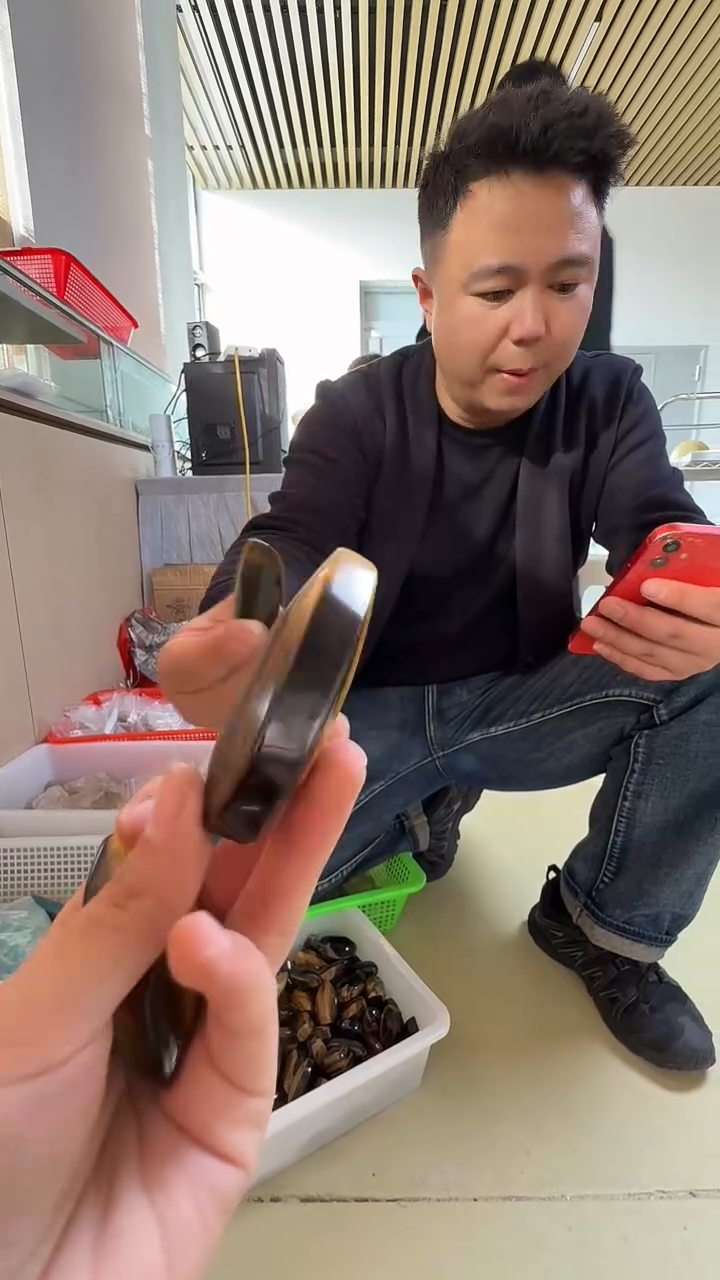 未镶嵌摆件木变石多样性发一件 C1142