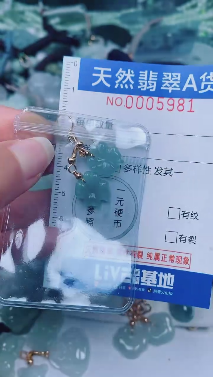 颈饰未镶嵌翡翠00005981