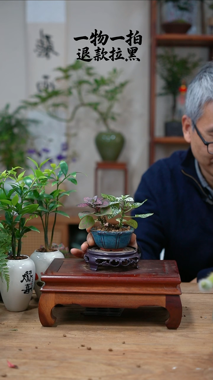 完全开放L***金嫣红蔓183