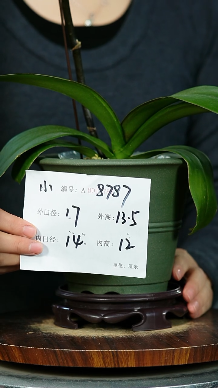 紫砂花盆8787+S紫砂花盆紫砂