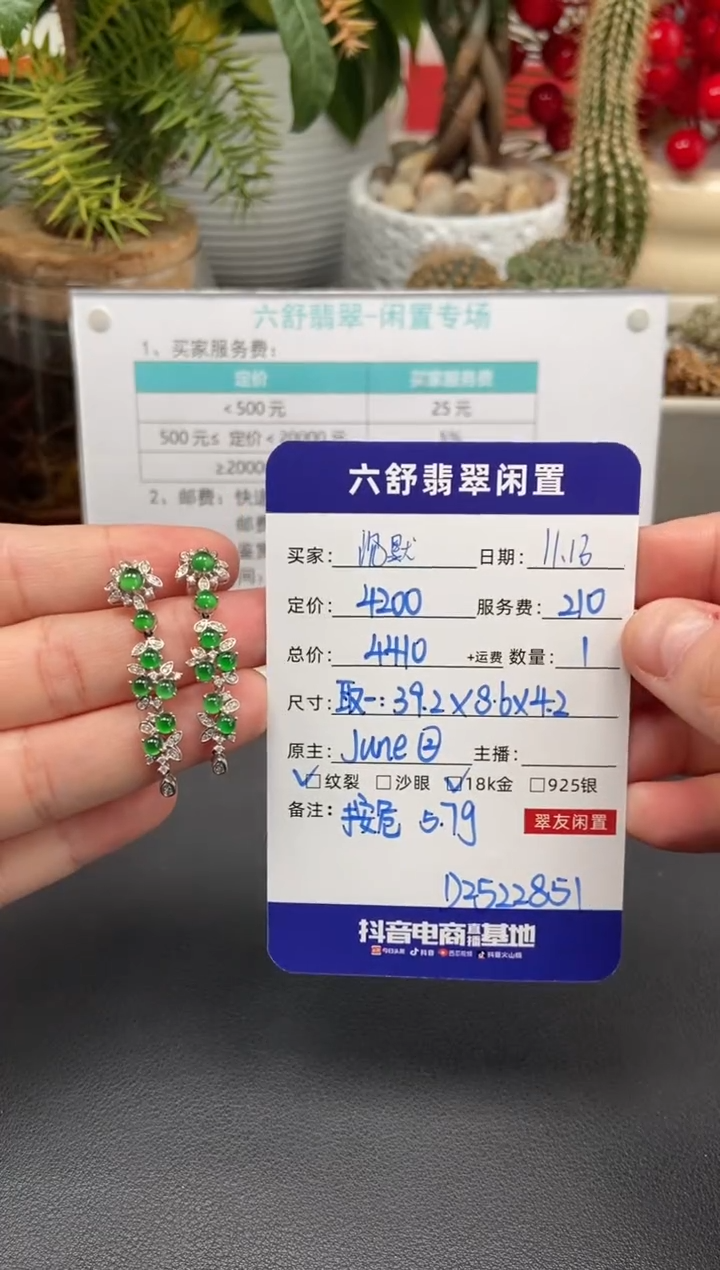 18K金镶嵌翡翠耳饰沉****。D2522851