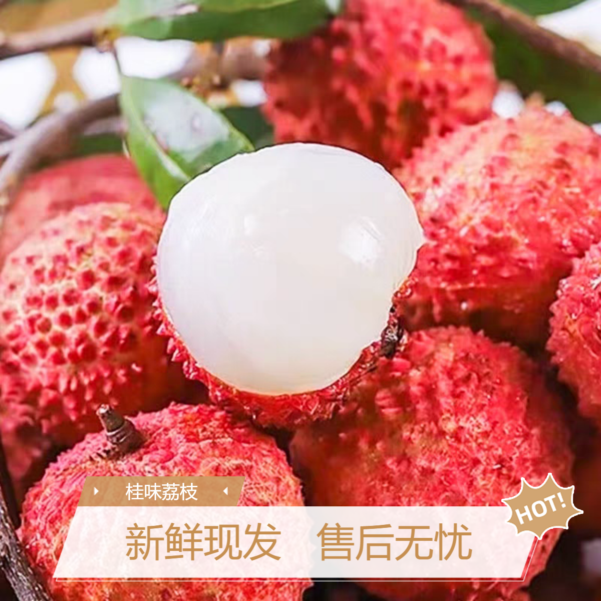 【顺丰/京东/EMS】带软枝叶发货广东桂味老树荔枝带箱5斤多仓发货