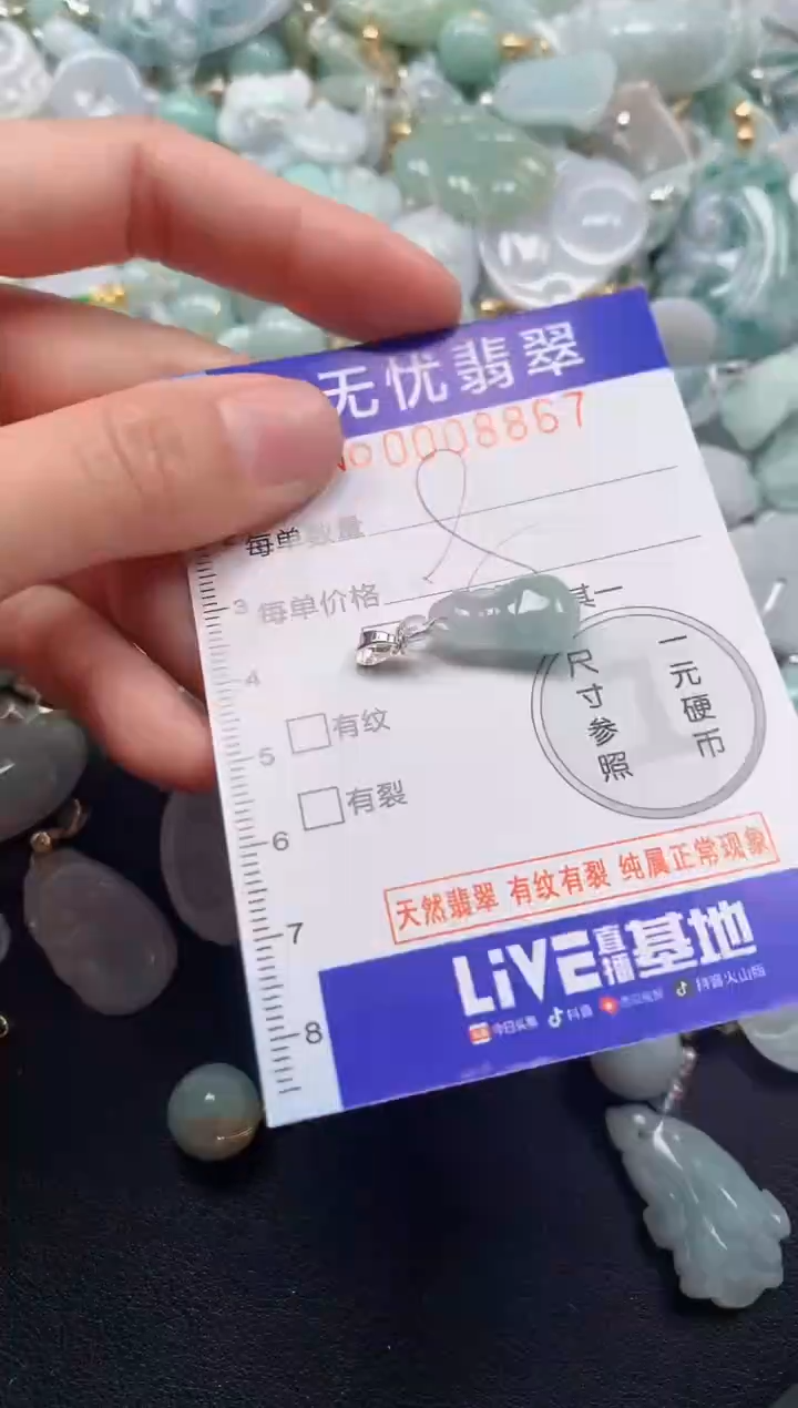 颈饰未镶嵌翡翠8867