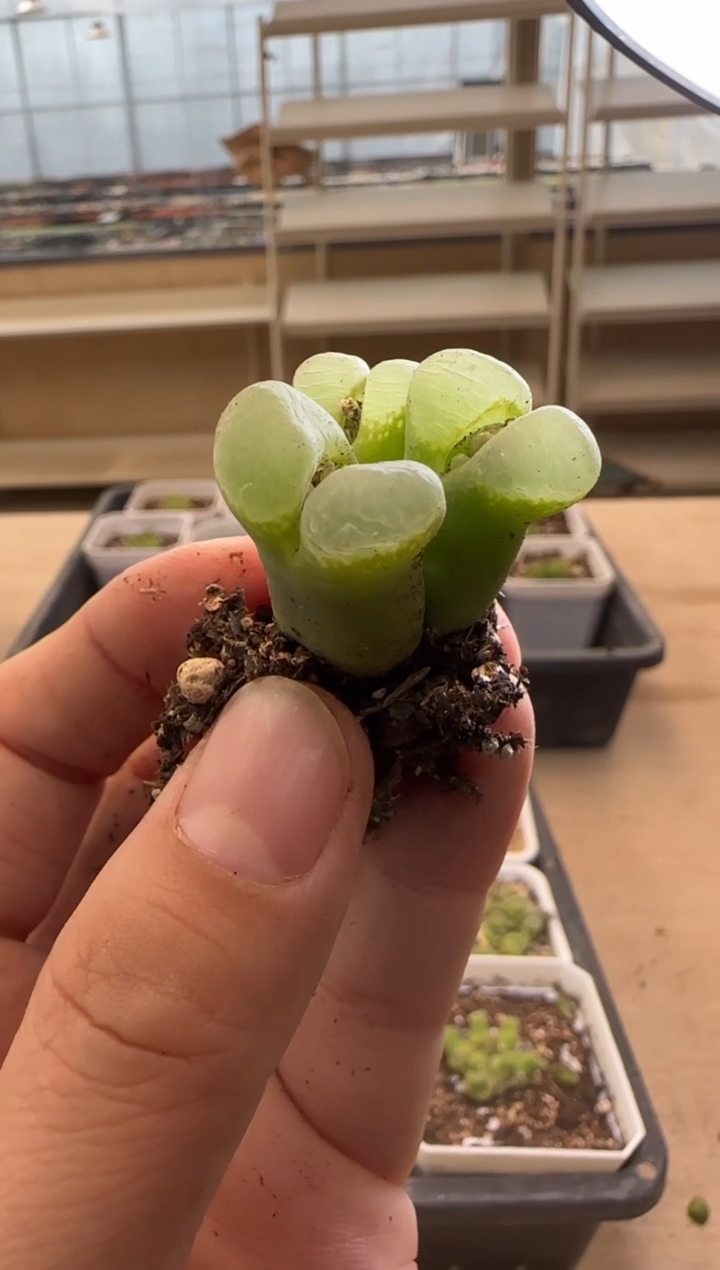 【闪购商品】14-73