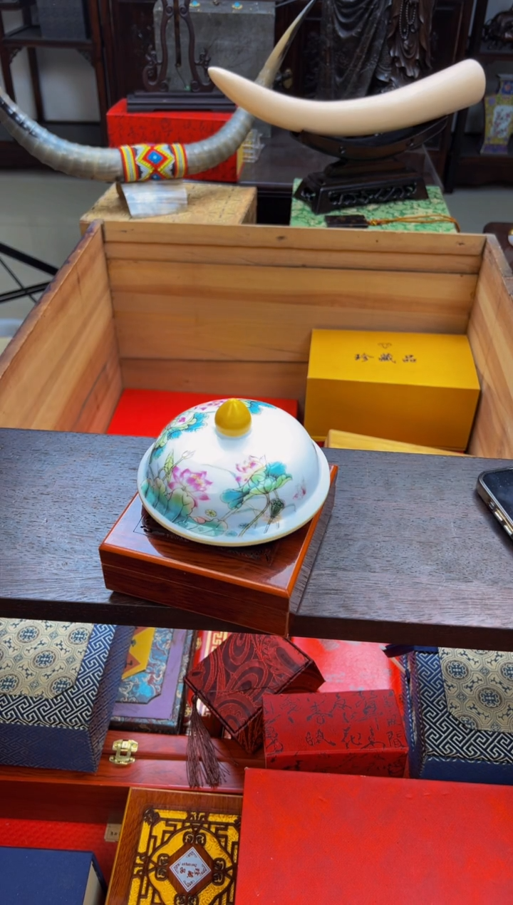 【闪购商品】瓷片—————————————海陆空