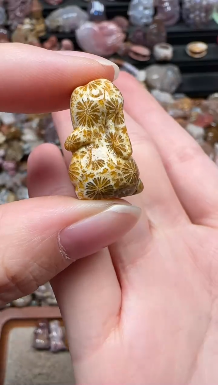 颈饰未镶嵌硅化珊瑚（珊瑚玉）664