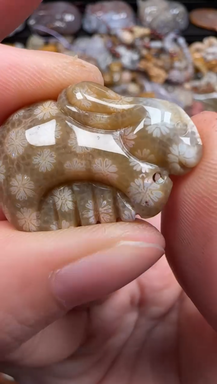 硅化珊瑚（珊瑚玉）未镶嵌颈饰327