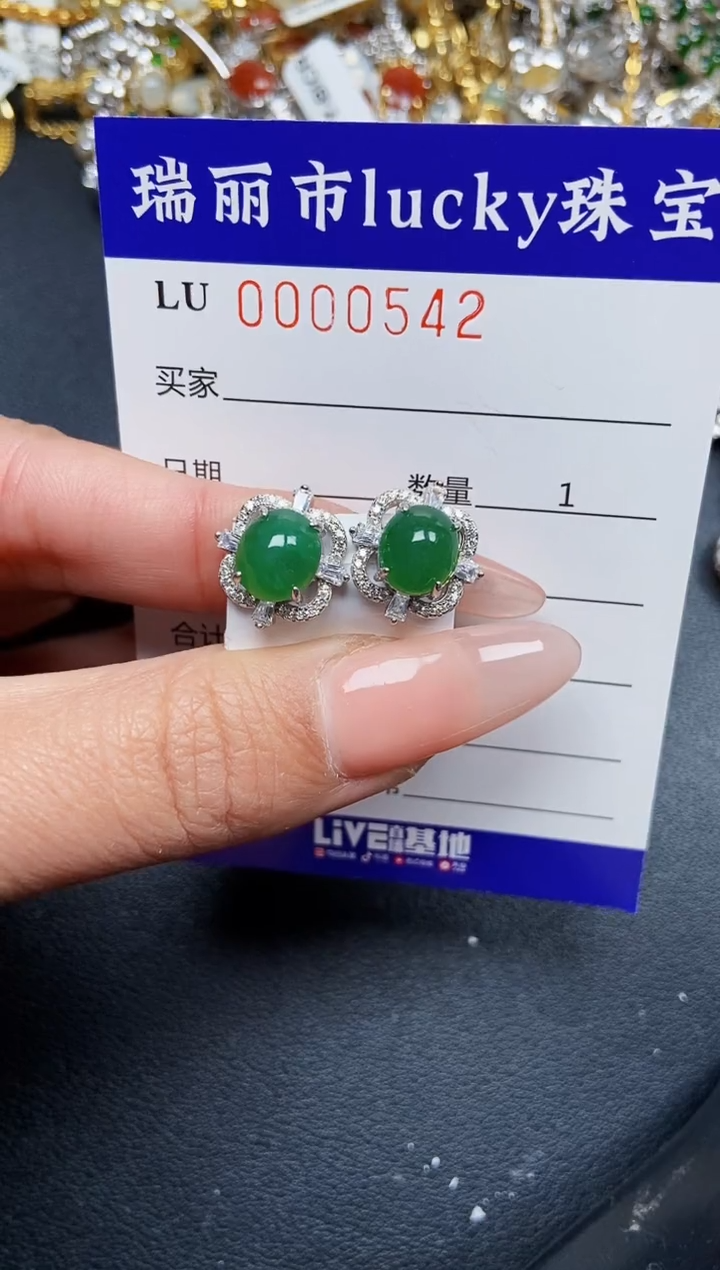 【闪购商品】翡翠颈饰银S925镶嵌0542
