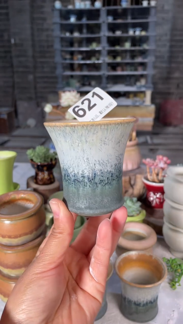 瓷片621小芳直播编号