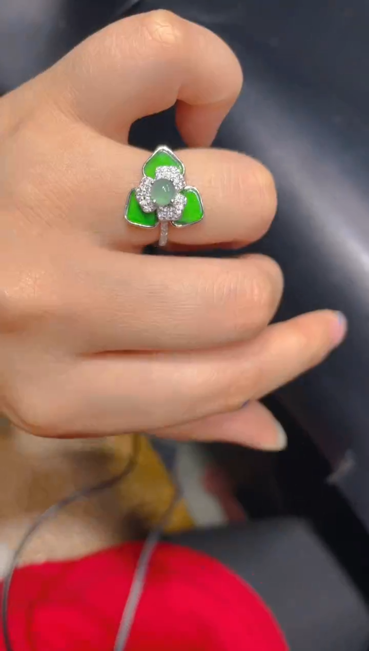 【闪购商品】定制翡翠未镶嵌41定制翡翠多样性发其一