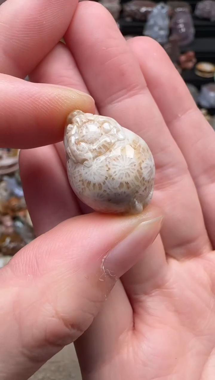 颈饰未镶嵌硅化珊瑚（珊瑚玉）466