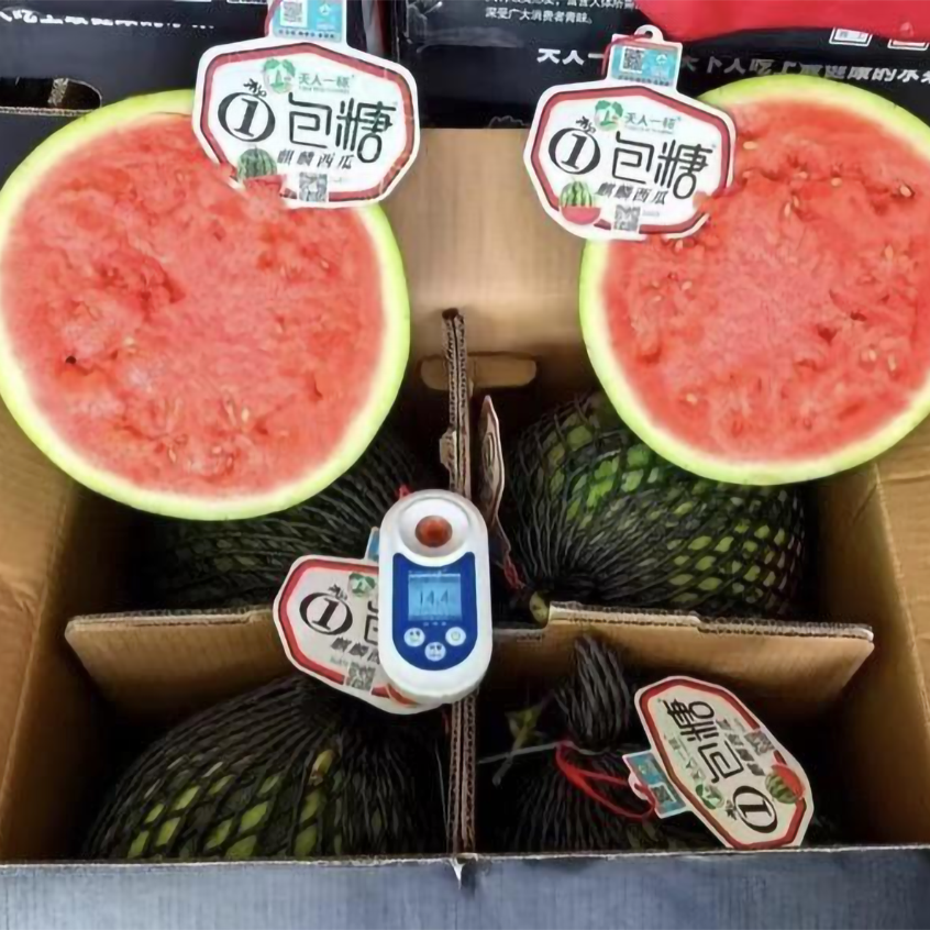 【配送到家】一包糖西瓜一个约9斤左右西瓜同城配