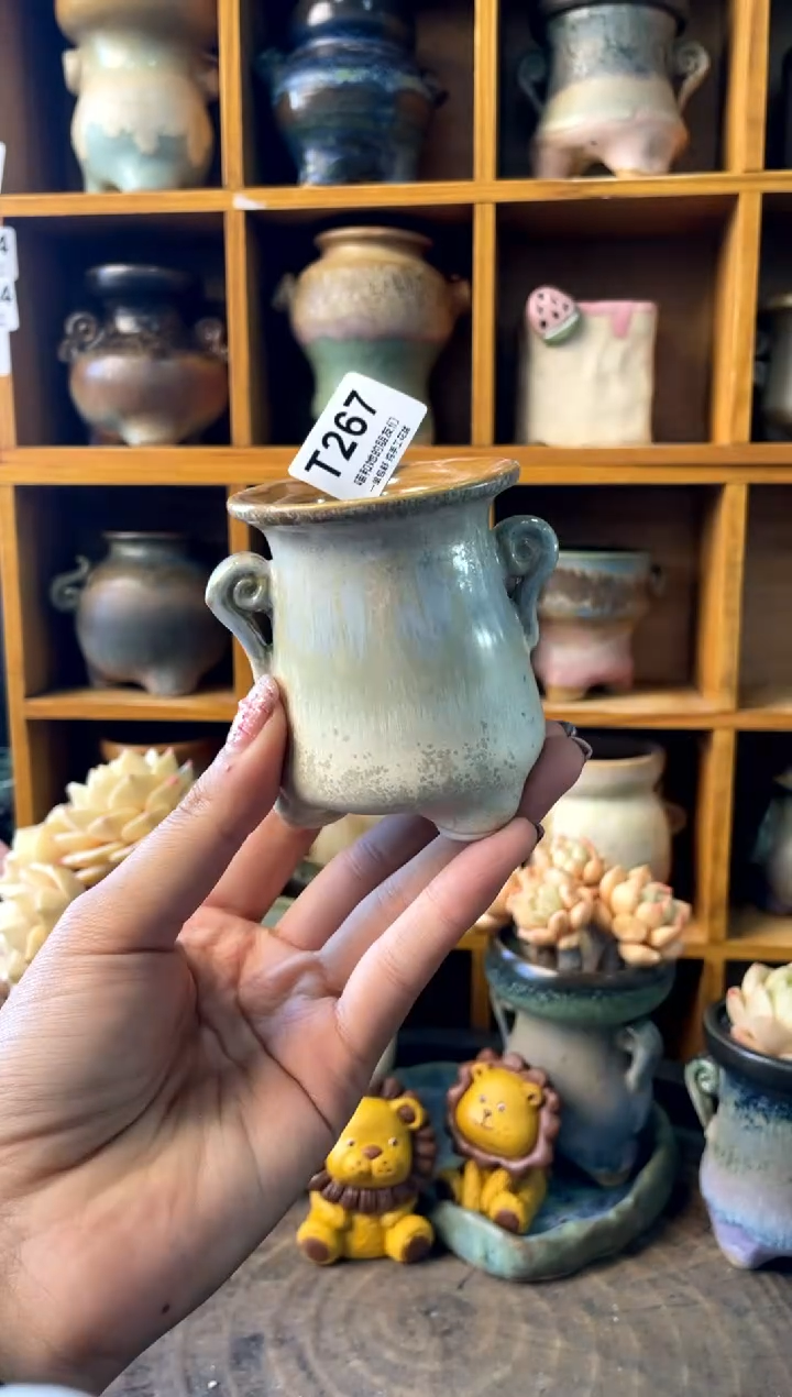 267内口5【多肉花盆多肉盆】