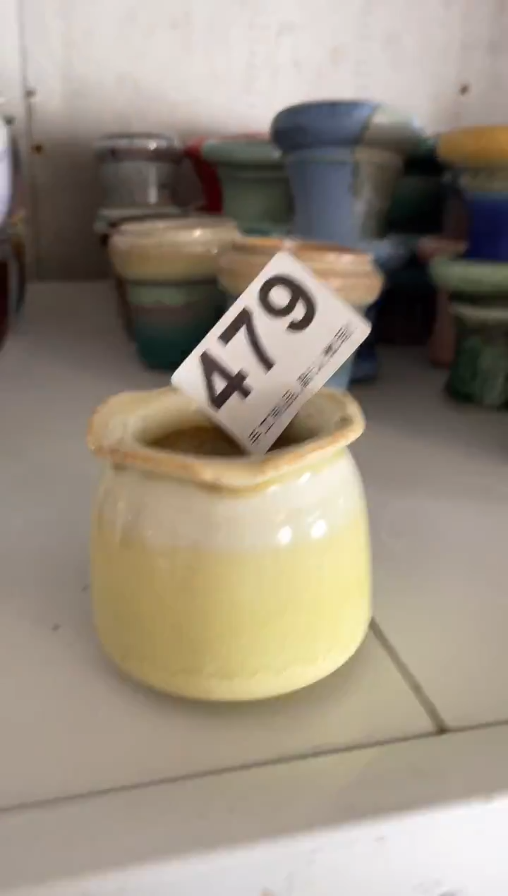 瓷片₍****星479知木小芳花盆