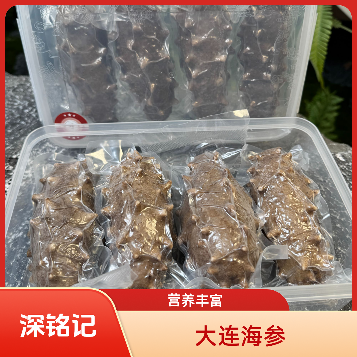 深铭记 即食海参独立真空包装口感Q弹4头