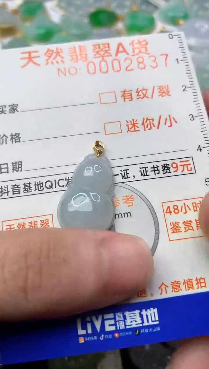【闪购商品】翡翠颈饰18K金镶嵌5............