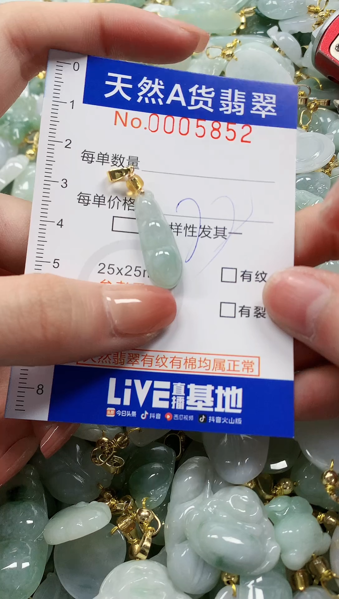 颈饰未镶嵌翡翠纯天然a货翡翠