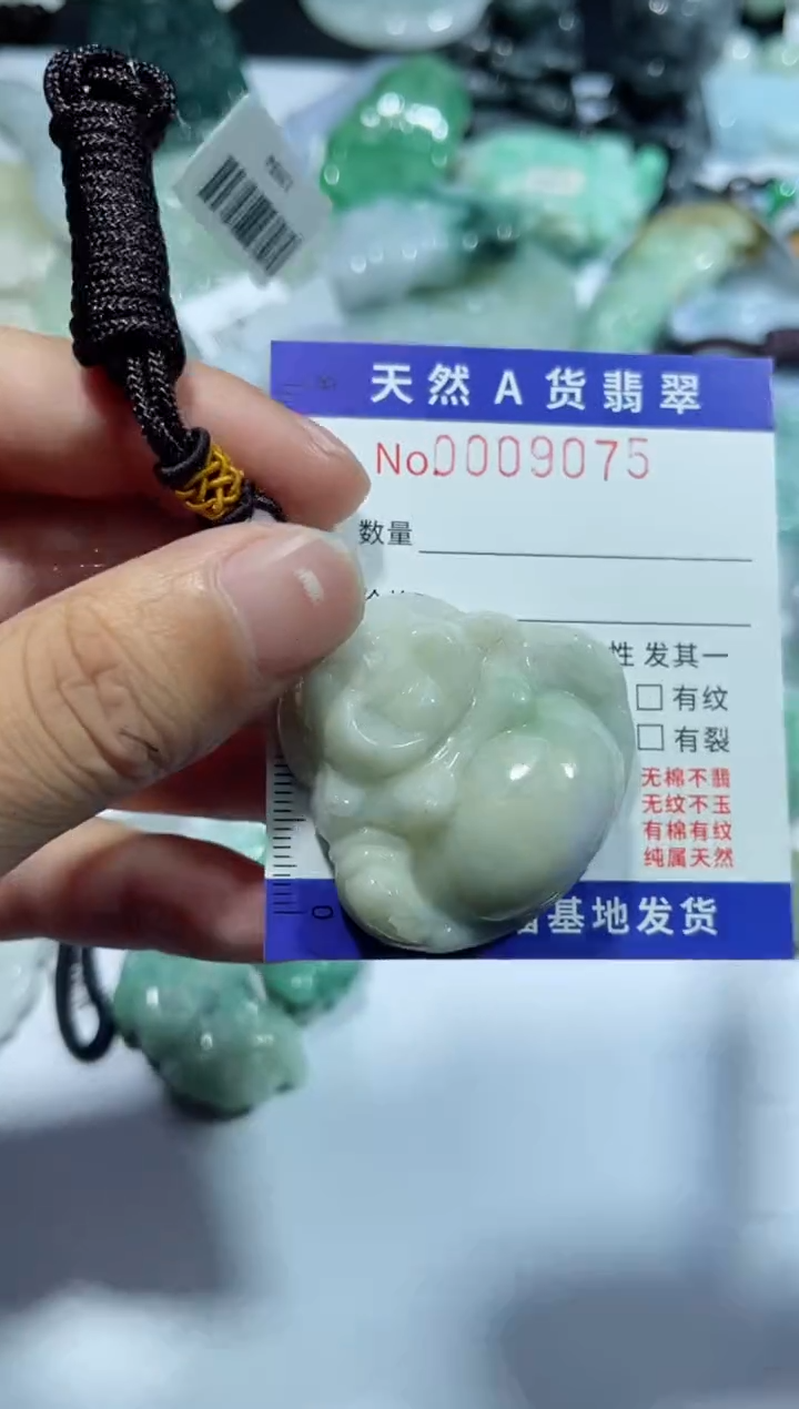 【闪购商品】翡翠颈饰未镶嵌00009075