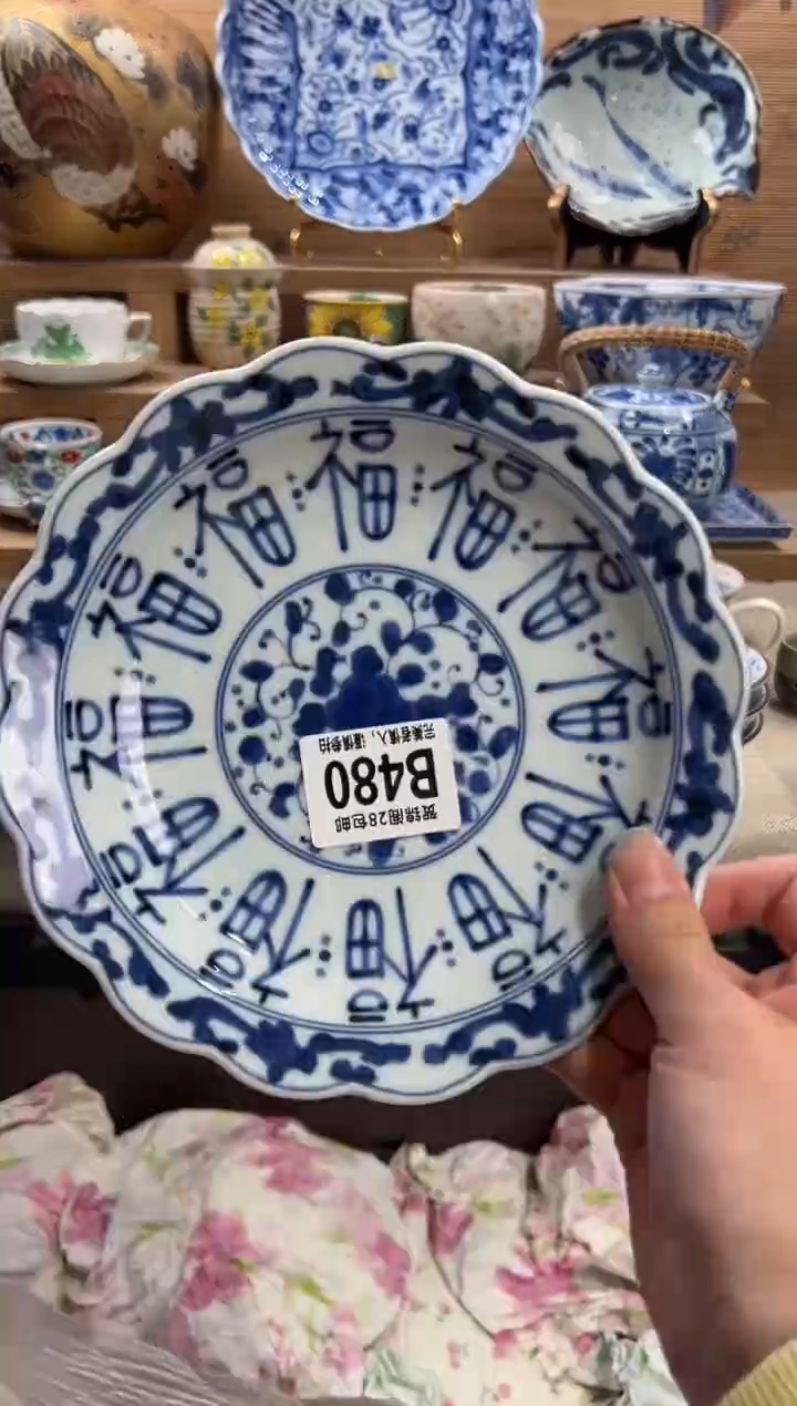 瓷片莲*      B480