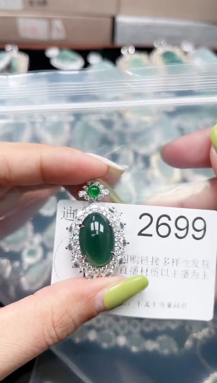 【闪购商品】翡翠颈饰未镶嵌2699赠皮绳