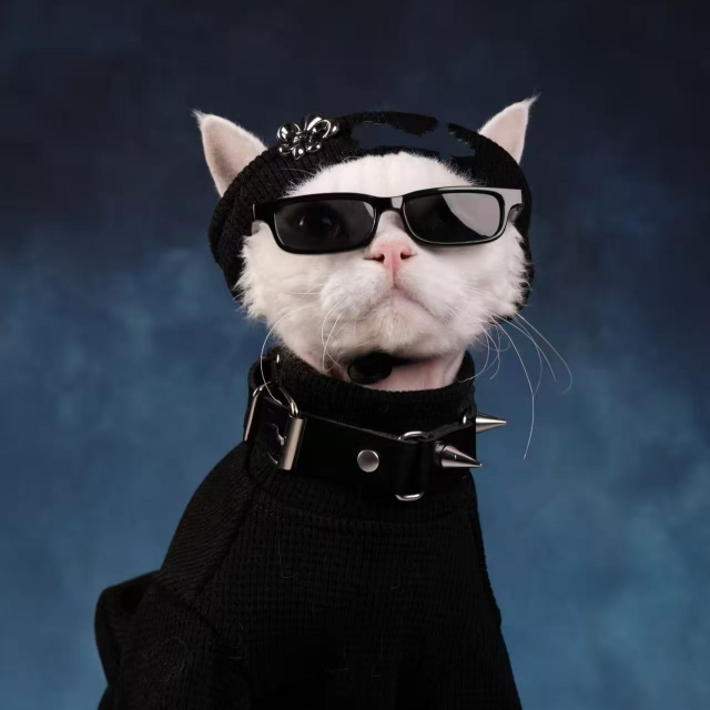 【7号】【全新未使用-拆盒】2025年新款轻奢男-Y6601