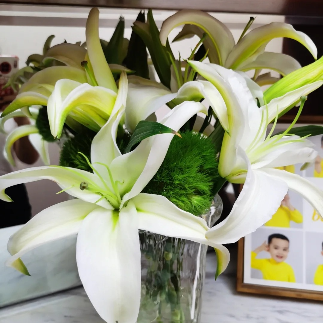 【源头优选】羊脂玉香水百合花水养插花用云南直发鲜花