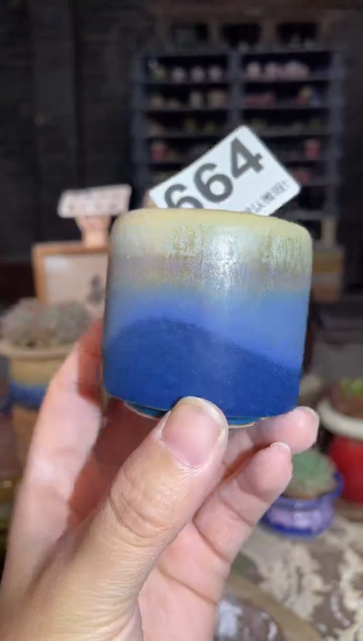 瓷片664知木小芳花盆