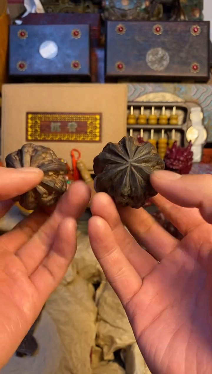 【闪购商品】主播推荐主播推荐