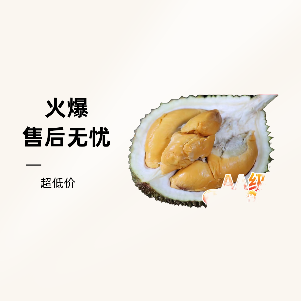 【一果一拍 保30%出肉】D13朱雀榴莲 