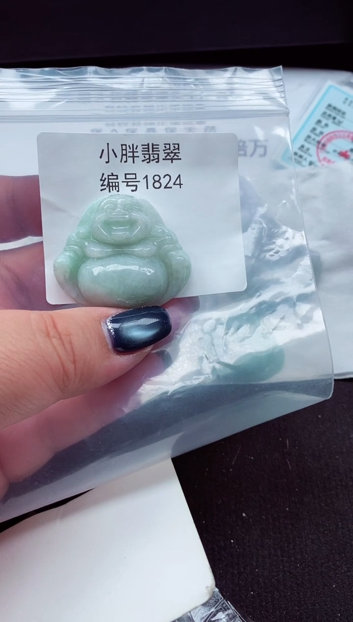 颈饰未镶嵌翡翠缅甸天然A货翡翠1824