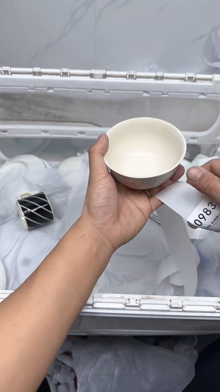 【闪购商品】983回流瓷器默认微瑕，18.8包邮