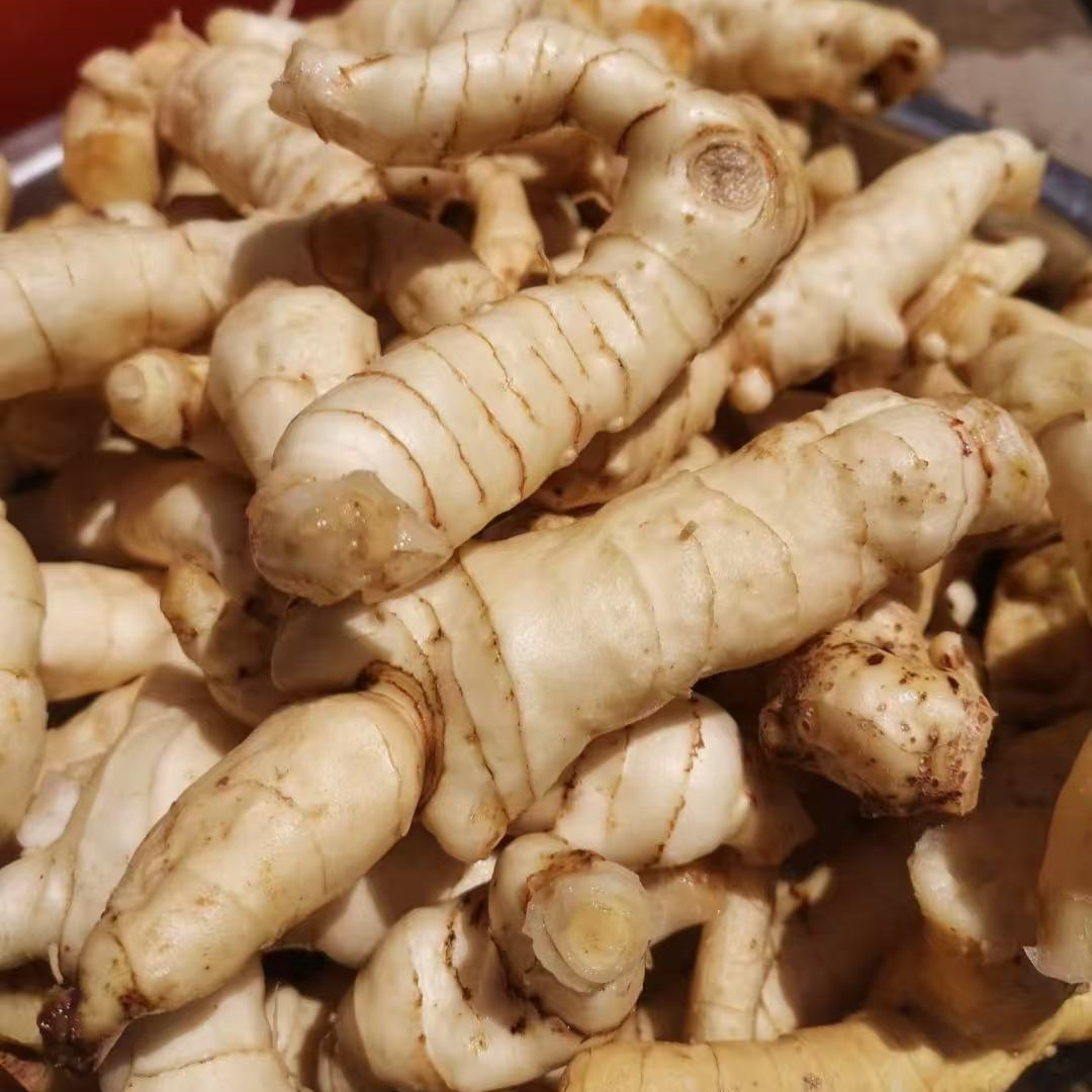 玉竹 2斤 新鲜现挖 包邮