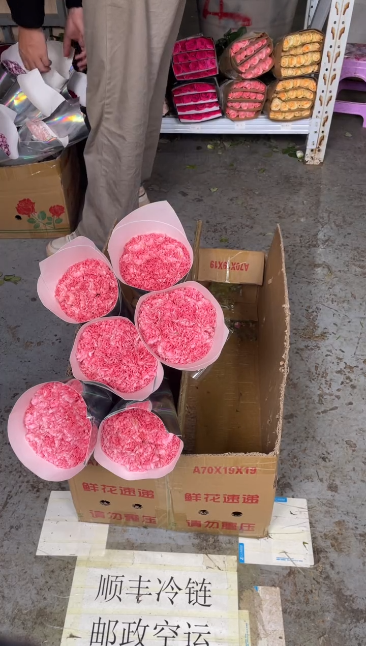 粉钻康乃馨6扎      