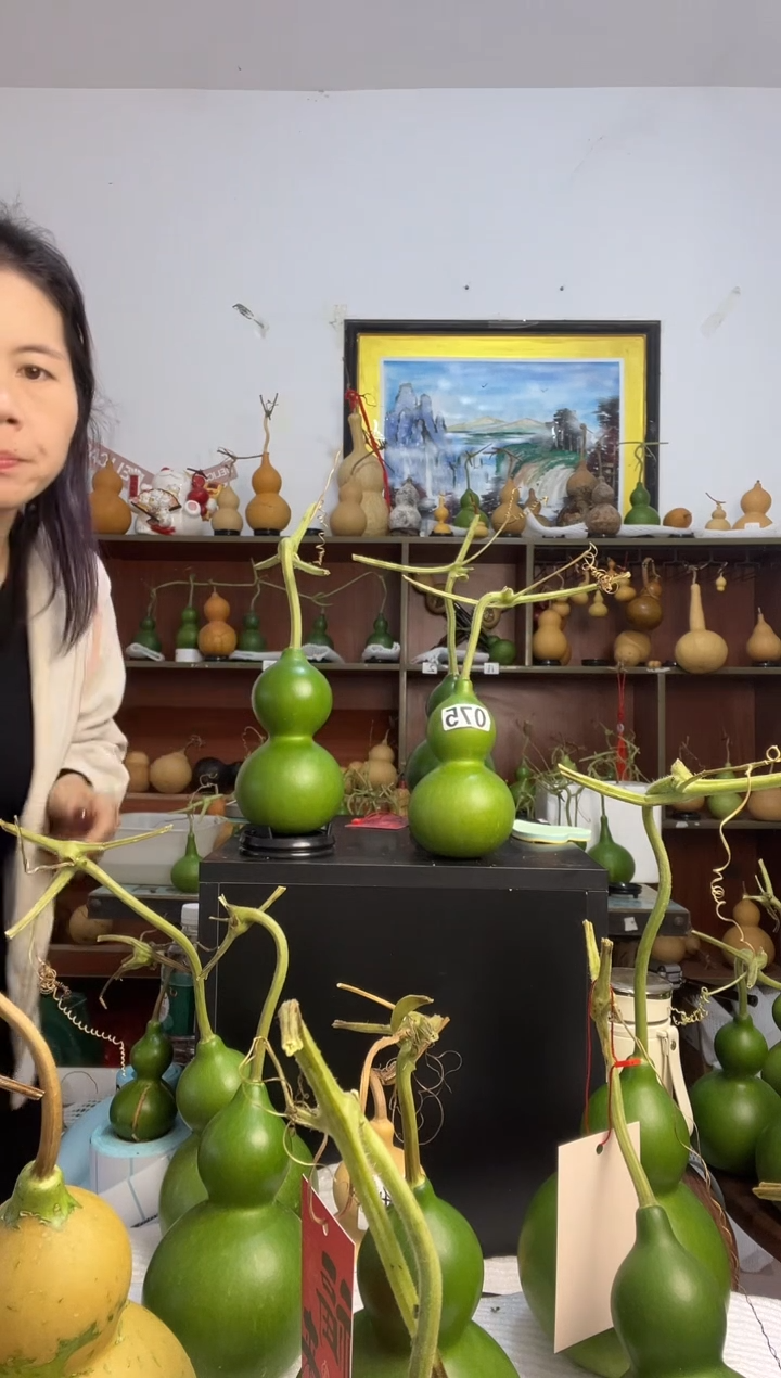 世****之075天然葫芦摆件 一物一拍龙头不保售后