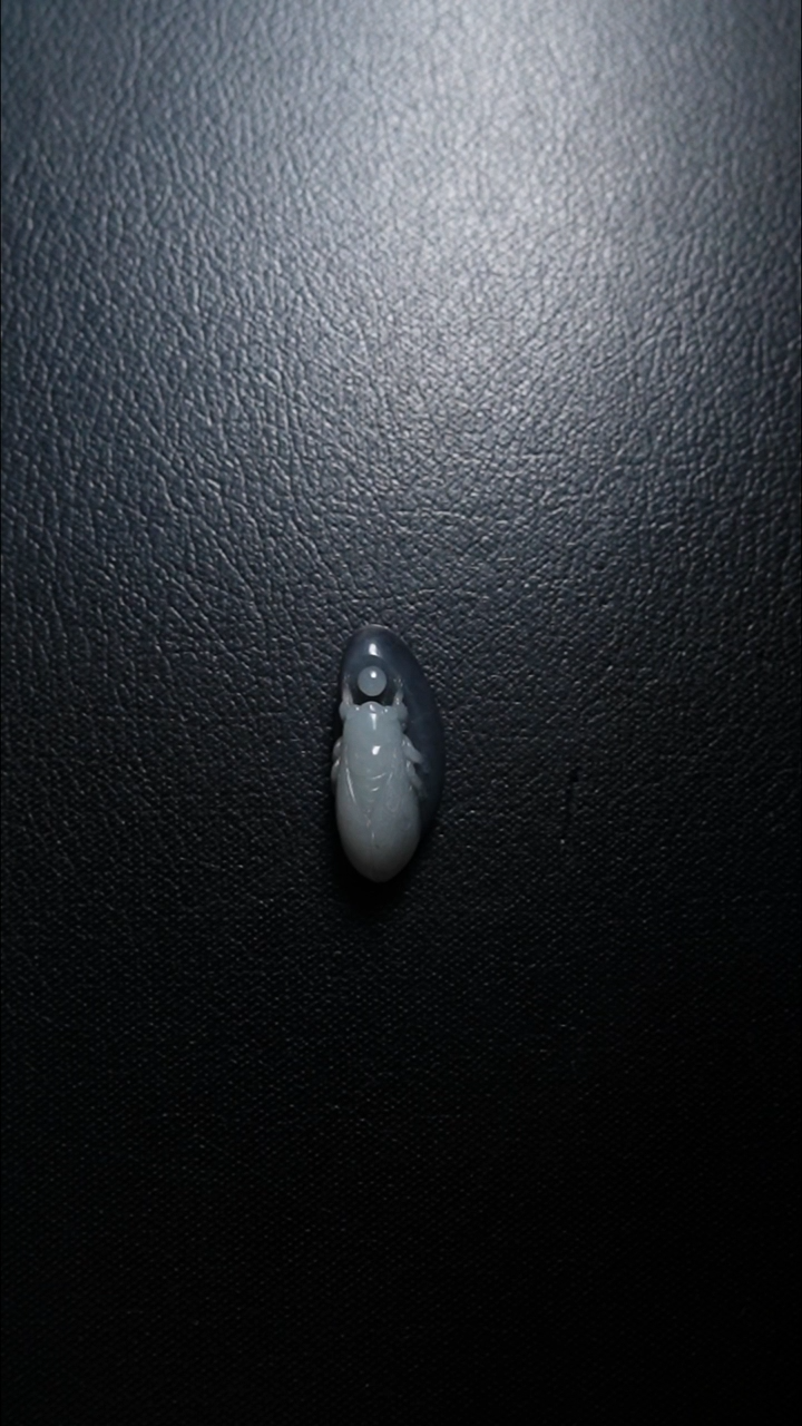 颈饰未镶嵌和田玉一鸣惊人