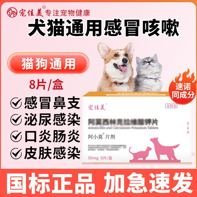 【直播专属】阿莫克拉维酸钾片宠物猫咪狗狗用赖氨酸营养补充剂