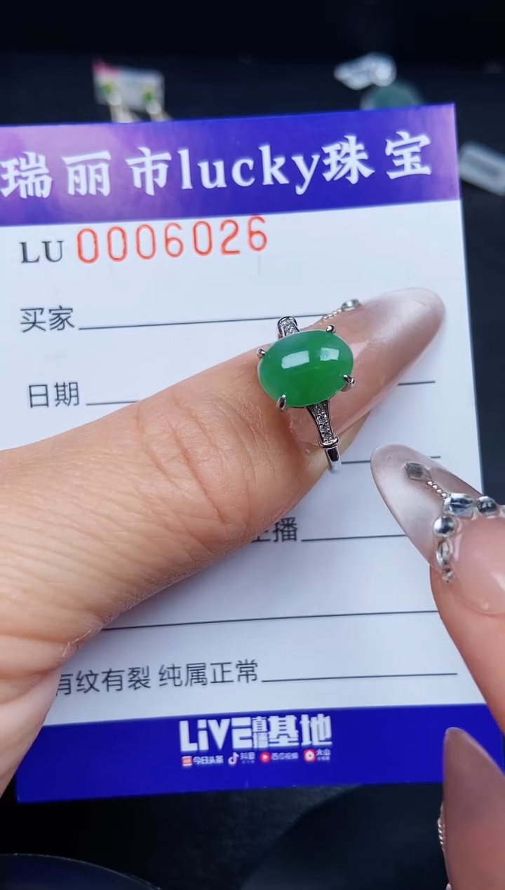 翡翠银S925镶嵌颈饰6026