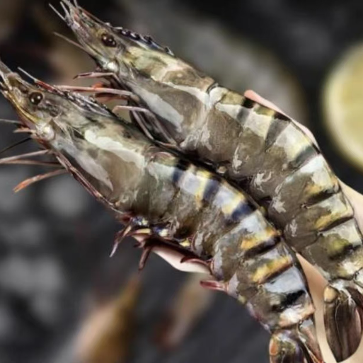 冷冻冰鲜黑虎虾保鲜肉质鲜甜