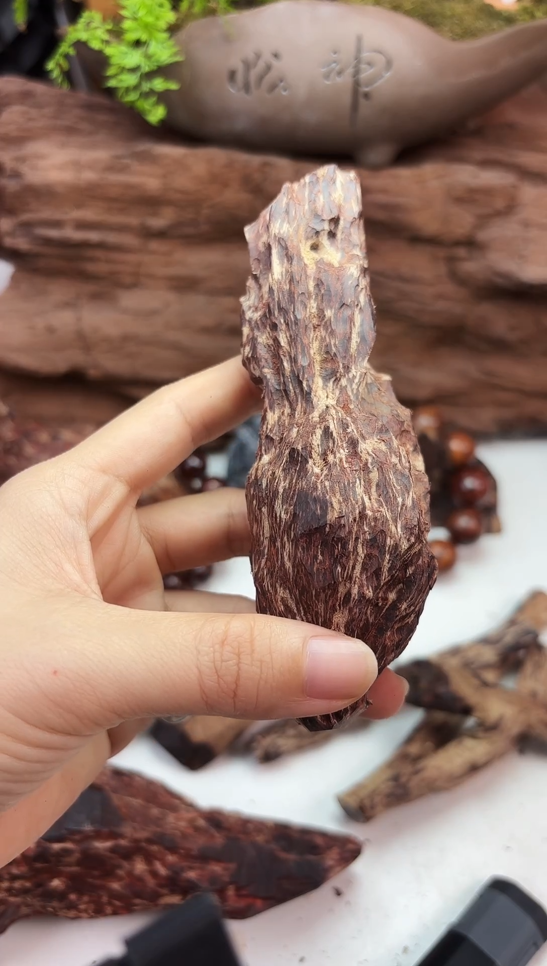 木本降真香海南红降原料随形手把件94g树心香胆料
