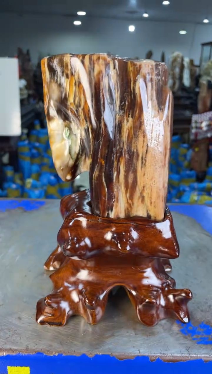 未镶嵌摆件硅化玉30