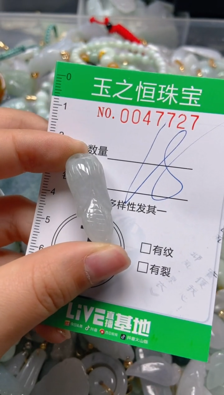 【闪购商品】翡翠颈饰未镶嵌闪购0047727
