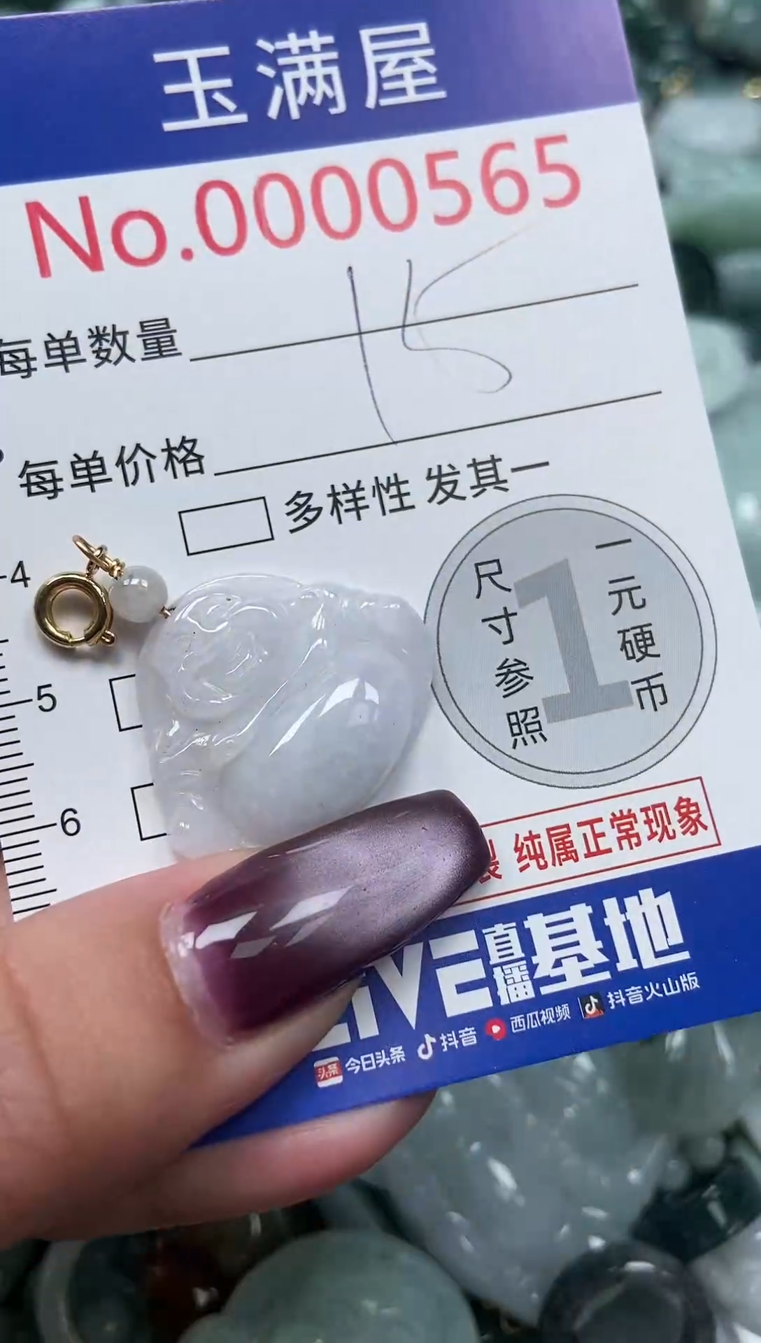 颈饰未镶嵌翡翠565